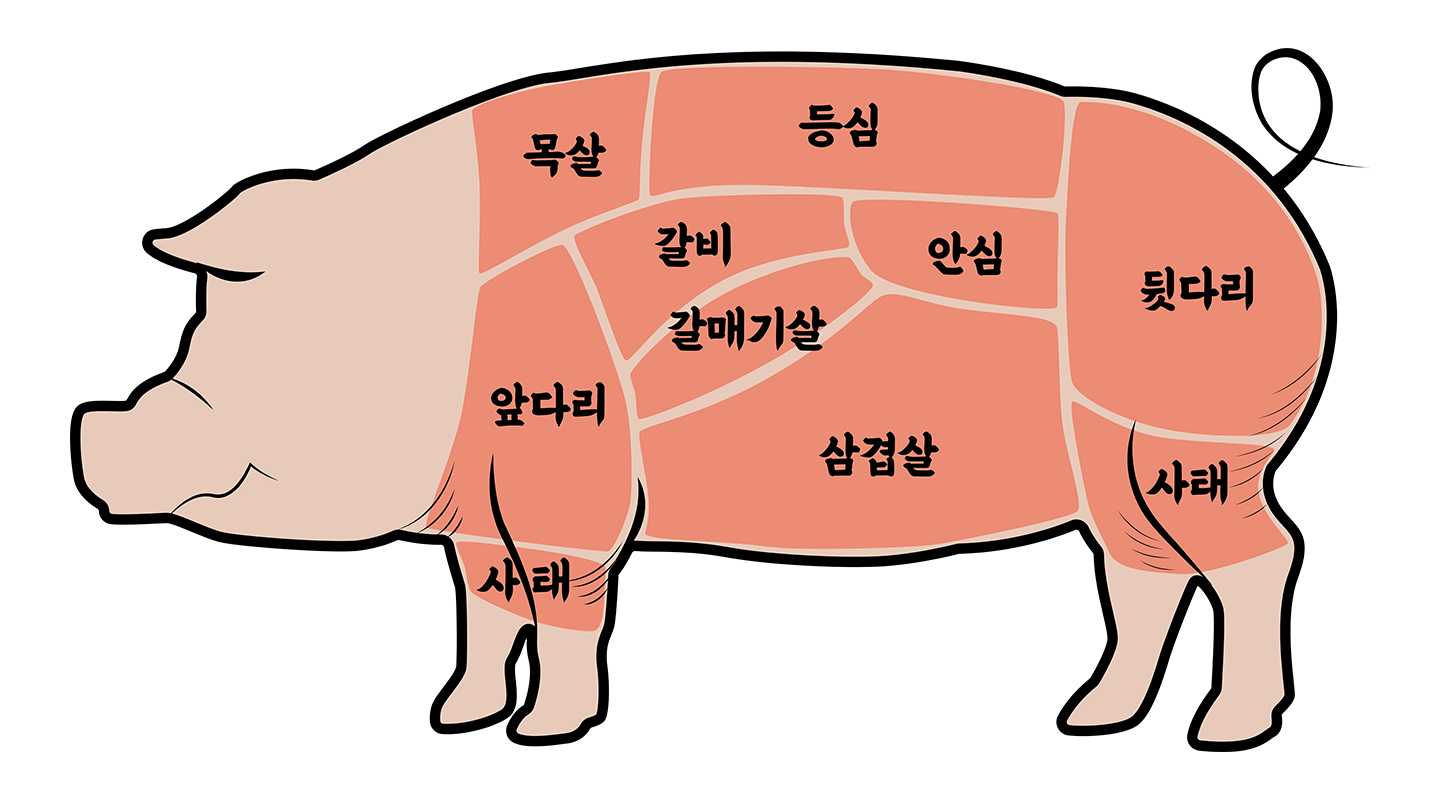 한돈돼지