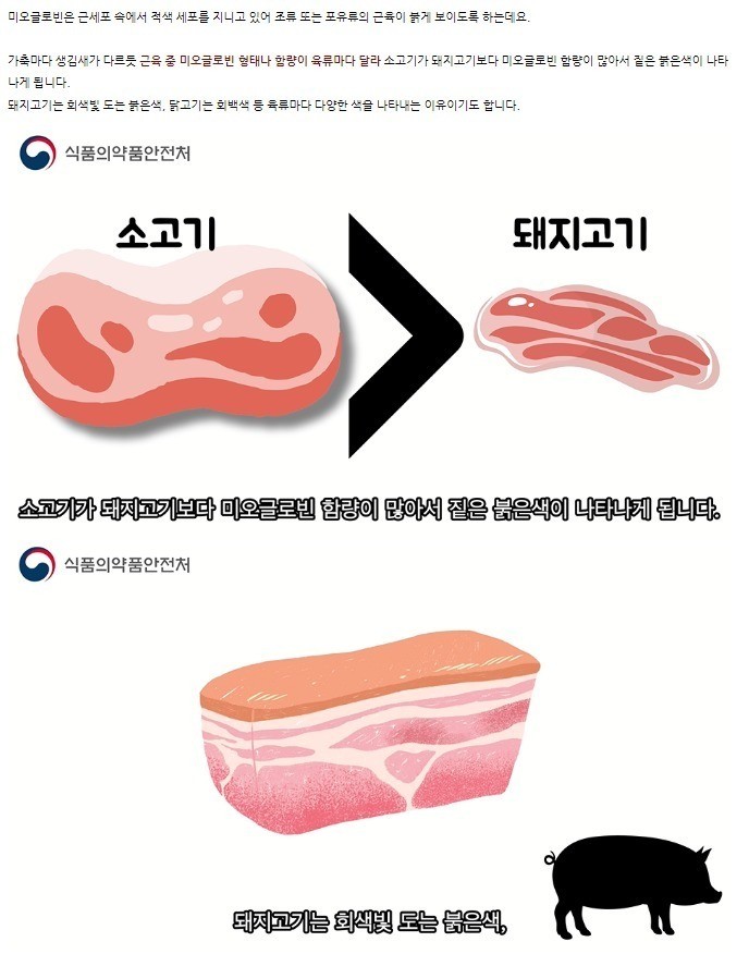 2_4.jpg