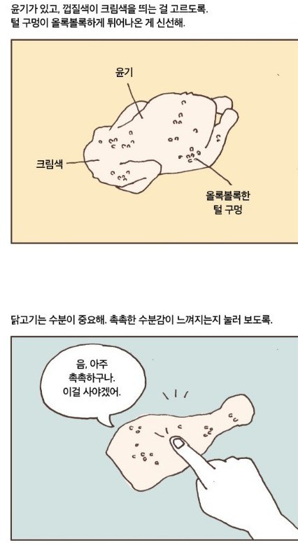 3_7.jpg